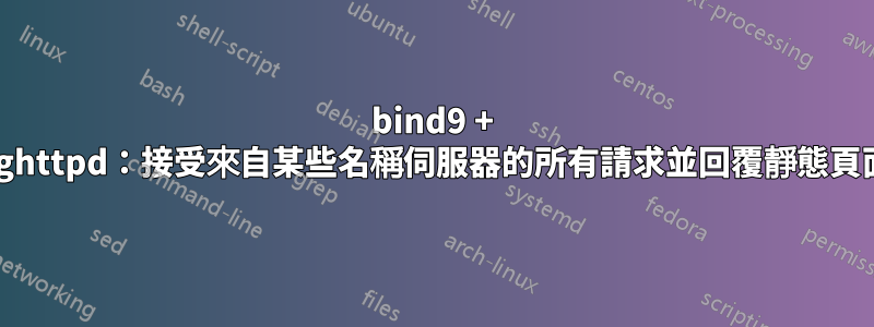 bind9 + lighttpd：接受來自某些名稱伺服器的所有請求並回覆靜態頁面