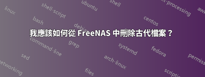 我應該如何從 FreeNAS 中刪除古代檔案？