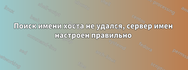 Поиск имени хоста не удался, сервер имен настроен правильно