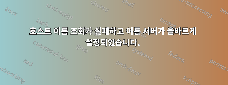 호스트 이름 조회가 실패하고 이름 서버가 올바르게 설정되었습니다.