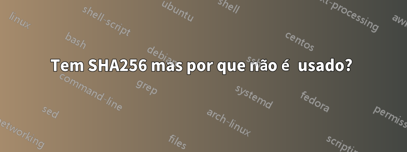 Tem SHA256 mas por que não é usado?