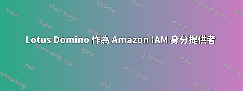 Lotus Domino 作為 Amazon IAM 身分提供者