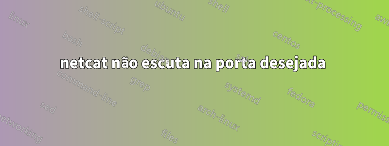 netcat não escuta na porta desejada