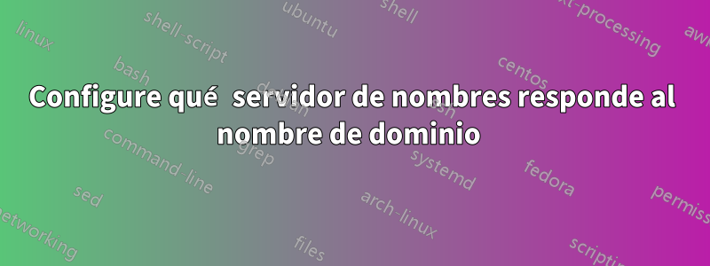 Configure qué servidor de nombres responde al nombre de dominio 