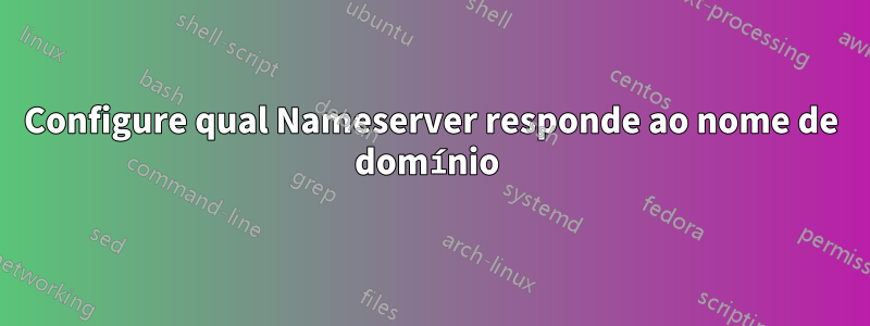 Configure qual Nameserver responde ao nome de domínio 