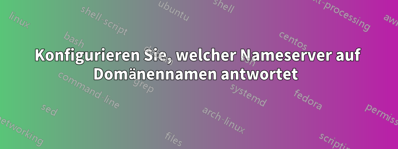 Konfigurieren Sie, welcher Nameserver auf Domänennamen antwortet 