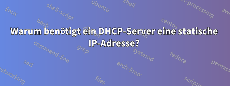 Warum benötigt ein DHCP-Server eine statische IP-Adresse?