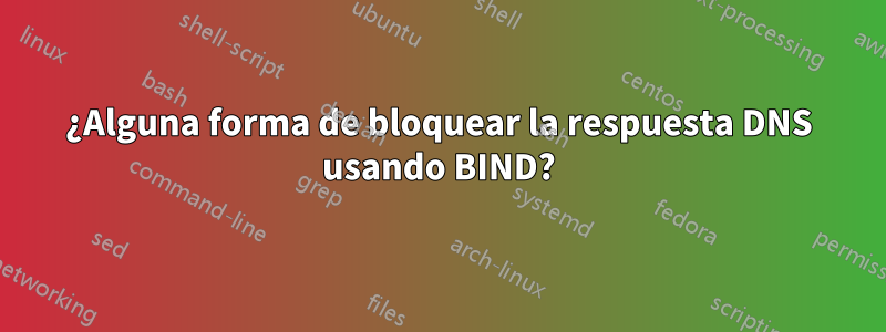 ¿Alguna forma de bloquear la respuesta DNS usando BIND?