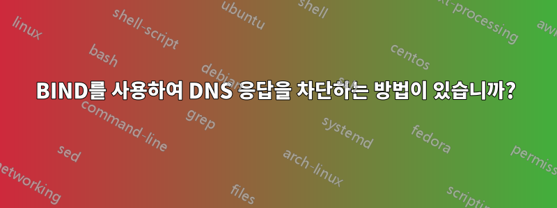 BIND를 사용하여 DNS 응답을 차단하는 방법이 있습니까?