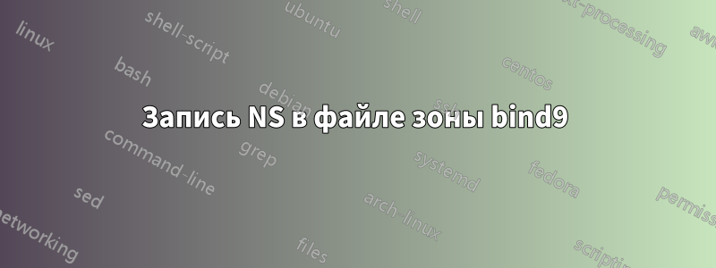 Запись NS в файле зоны bind9