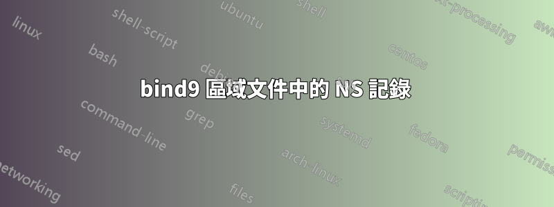 bind9 區域文件中的 NS 記錄