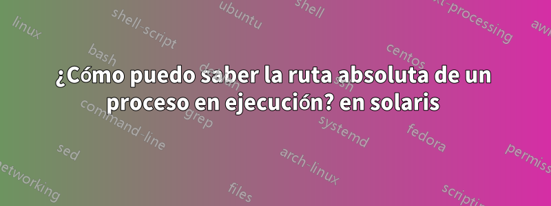 ¿Cómo puedo saber la ruta absoluta de un proceso en ejecución? en solaris