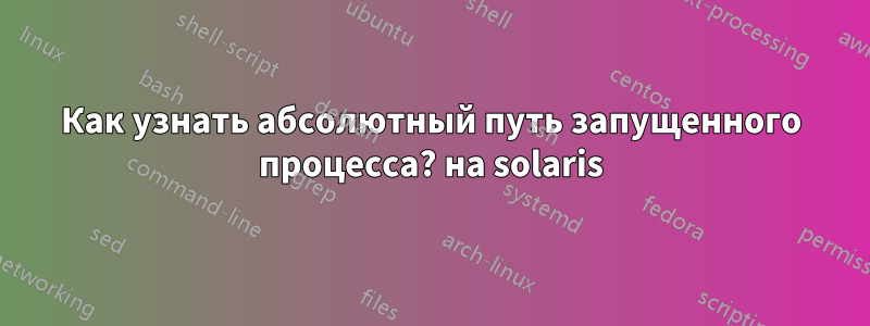 Как узнать абсолютный путь запущенного процесса? на solaris