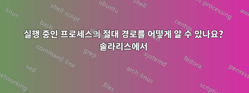 실행 중인 프로세스의 절대 경로를 어떻게 알 수 있나요? 솔라리스에서