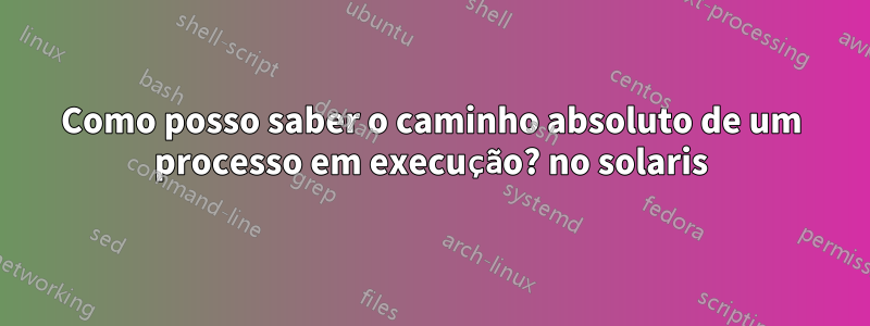 Como posso saber o caminho absoluto de um processo em execução? no solaris