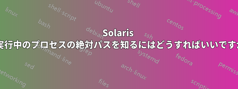 Solaris で実行中のプロセスの絶対パスを知るにはどうすればいいですか?