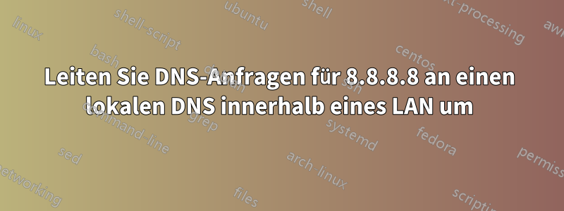 Leiten Sie DNS-Anfragen für 8.8.8.8 an einen lokalen DNS innerhalb eines LAN um