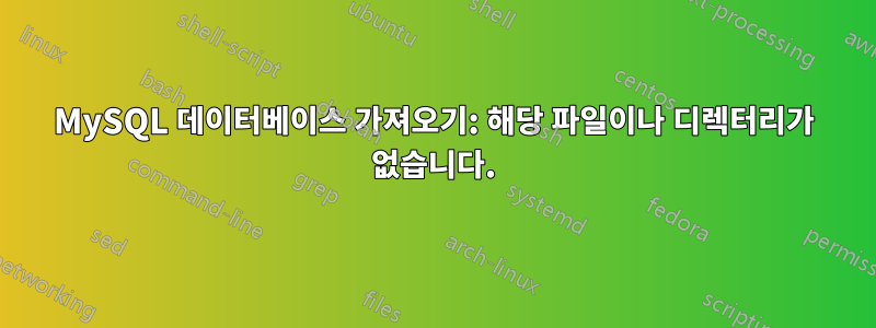 MySQL 데이터베이스 가져오기: 해당 파일이나 디렉터리가 없습니다.