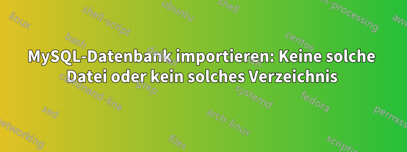 MySQL-Datenbank importieren: Keine solche Datei oder kein solches Verzeichnis