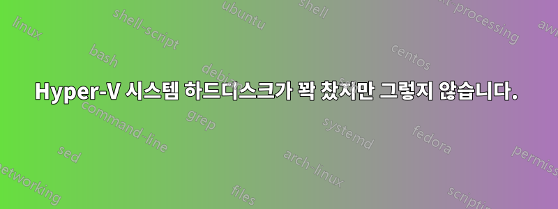 Hyper-V 시스템 하드디스크가 꽉 찼지만 그렇지 않습니다.