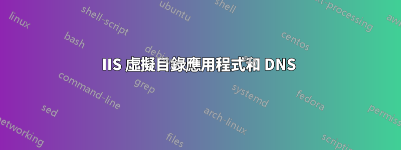 IIS 虛擬目錄應用程式和 DNS