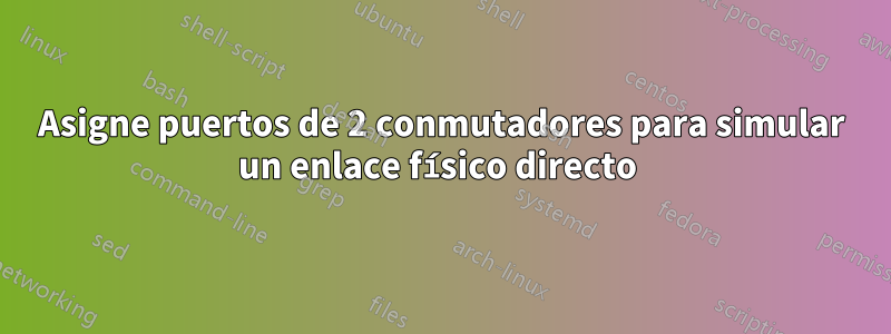 Asigne puertos de 2 conmutadores para simular un enlace físico directo 