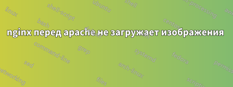 nginx перед apache не загружает изображения 