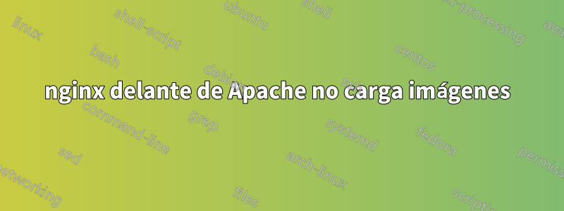 nginx delante de Apache no carga imágenes 