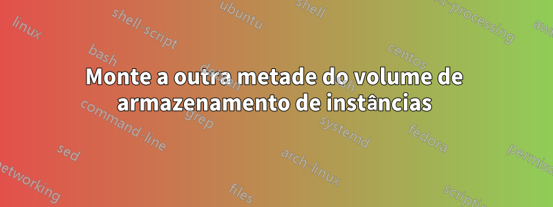 Monte a outra metade do volume de armazenamento de instâncias