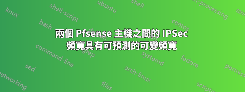 兩個 Pfsense 主機之間的 IPSec 頻寬具有可預測的可變頻寬