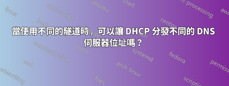 當使用不同的隧道時，可以讓 DHCP 分發不同的 DNS 伺服器位址嗎？