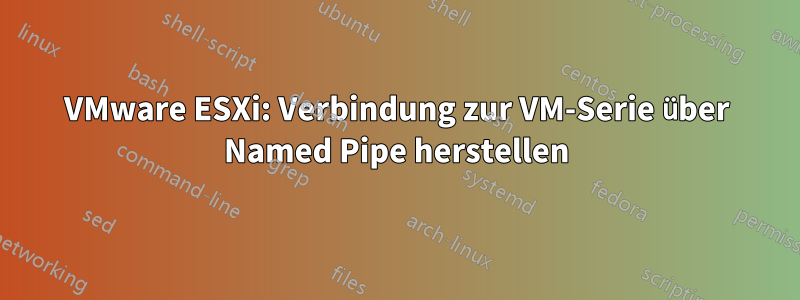 VMware ESXi: Verbindung zur VM-Serie über Named Pipe herstellen