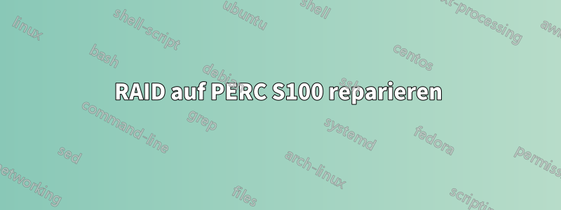 RAID auf PERC S100 reparieren