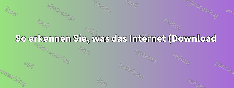 So erkennen Sie, was das Internet (Download) auf einem Cloud-Server blockiert