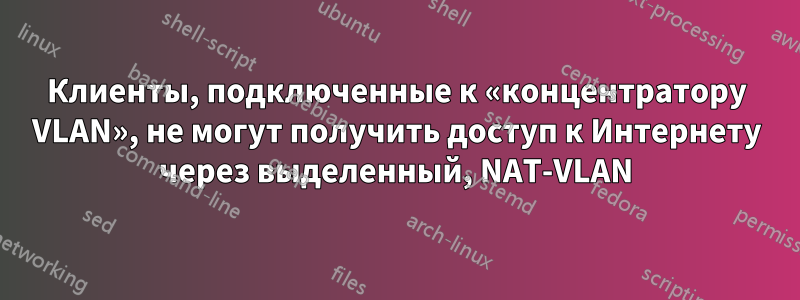 Клиенты, подключенные к «концентратору VLAN», не могут получить доступ к Интернету через выделенный, NAT-VLAN