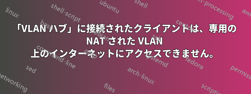 「VLAN ハブ」に接続されたクライアントは、専用の NAT された VLAN 上のインターネットにアクセスできません。