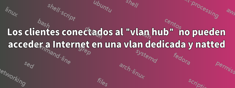 Los clientes conectados al "vlan hub" no pueden acceder a Internet en una vlan dedicada y natted