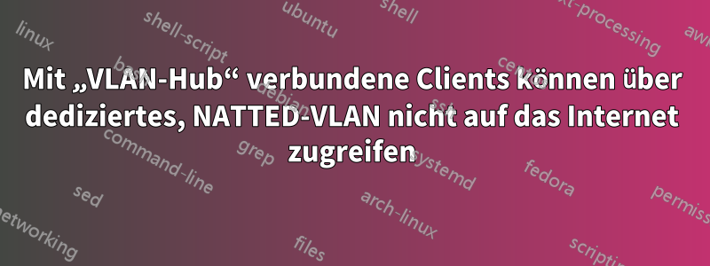 Mit „VLAN-Hub“ verbundene Clients können über dediziertes, NATTED-VLAN nicht auf das Internet zugreifen