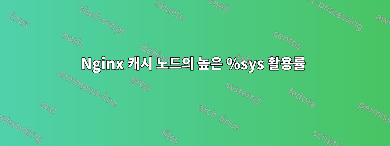 Nginx 캐시 노드의 높은 %sys 활용률
