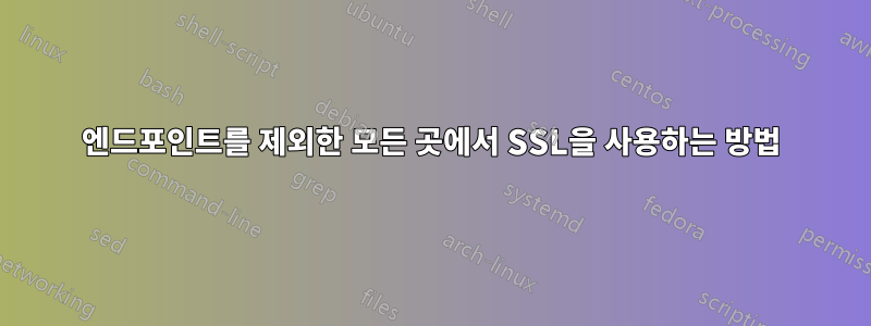 엔드포인트를 제외한 모든 곳에서 SSL을 사용하는 방법