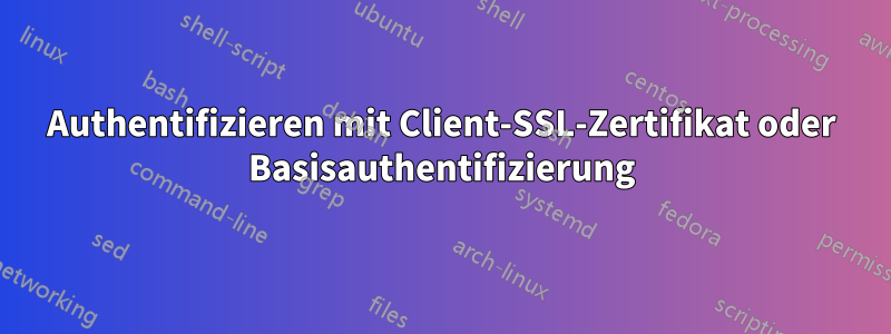 Authentifizieren mit Client-SSL-Zertifikat oder Basisauthentifizierung