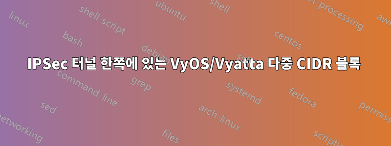 IPSec 터널 한쪽에 있는 VyOS/Vyatta 다중 CIDR 블록