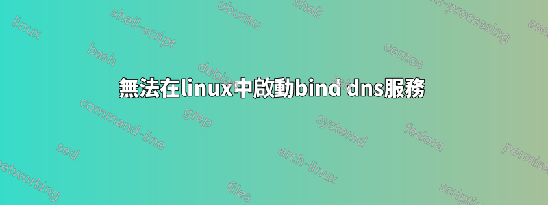 無法在linux中啟動bind dns服務