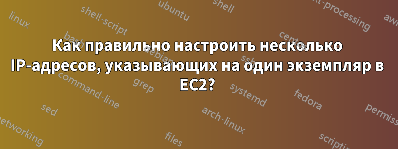 Как правильно настроить несколько IP-адресов, указывающих на один экземпляр в EC2?