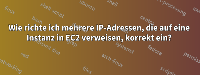 Wie richte ich mehrere IP-Adressen, die auf eine Instanz in EC2 verweisen, korrekt ein?