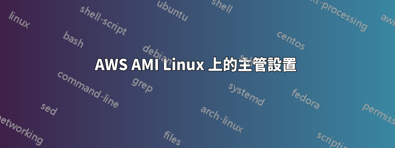 AWS AMI Linux 上的主管設置