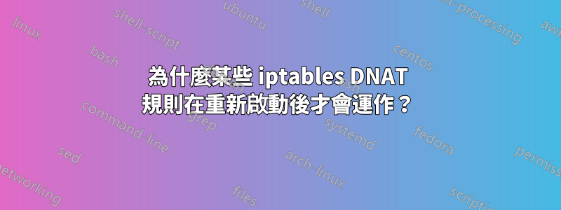 為什麼某些 iptables DNAT 規則在重新啟動後才會運作？