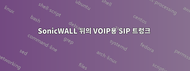 SonicWALL 뒤의 VOIP용 SIP 트렁크