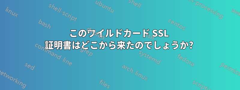 このワイルドカード SSL 証明書はどこから来たのでしょうか?