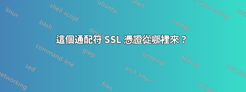 這個通配符 SSL 憑證從哪裡來？